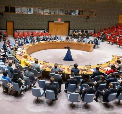 Security Council briefed on progress in UN-AU partnership for peace