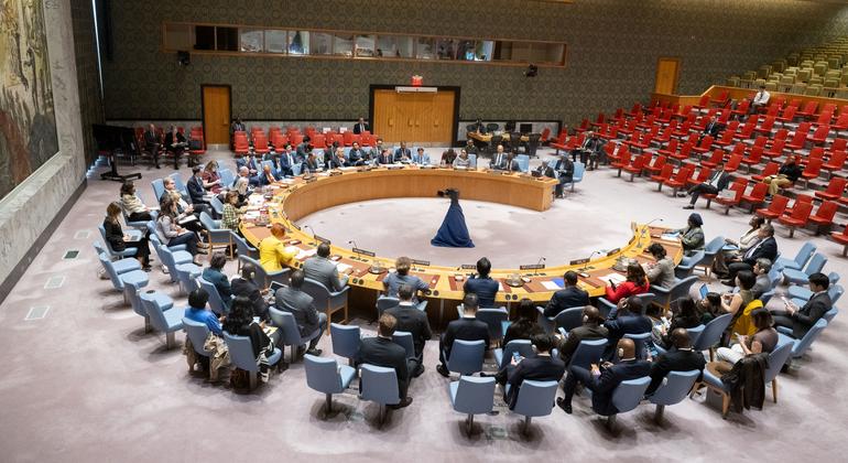 Security Council briefed on progress in UN-AU partnership for peace