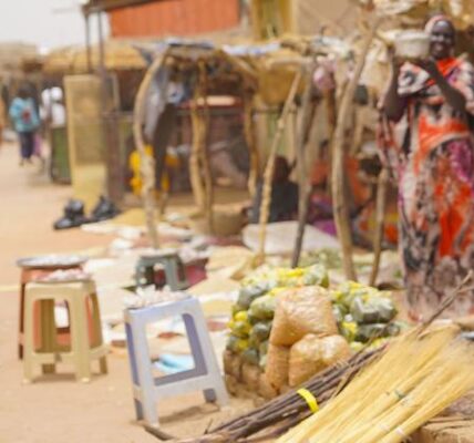 Sudan trapped in a ‘nightmare of violence’, UN chief tells Security Council