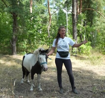 Time with horses is helping some Ukrainian kids deal with war