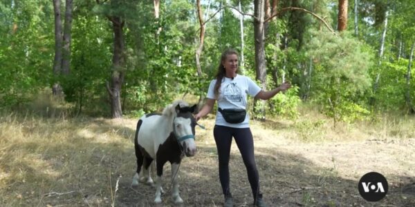 Time with horses is helping some Ukrainian kids deal with war