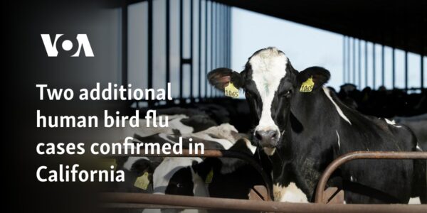 Two additional human bird flu cases confirmed in California