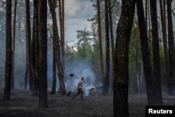 Ukraine's vast forests devastated in hellscape of war