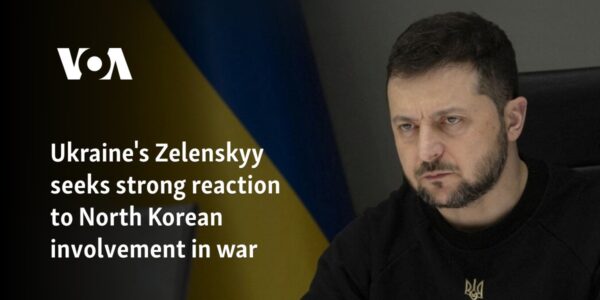 Ukraine's Zelenskyy seeks strong reaction to North Korean involvement in war