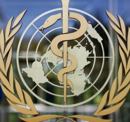 WHO urges Rwanda to see off Marburg outbreak