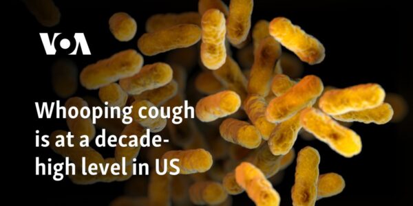 Whooping cough is at a decade-high level in US