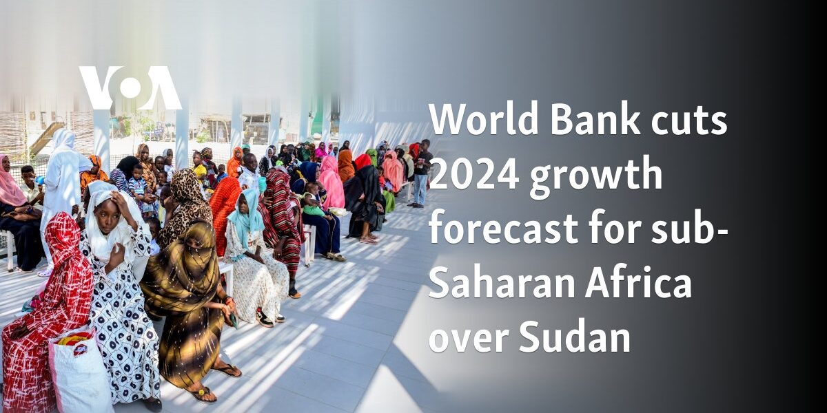 World Bank cuts 2024 growth forecast for sub-Saharan Africa over Sudan