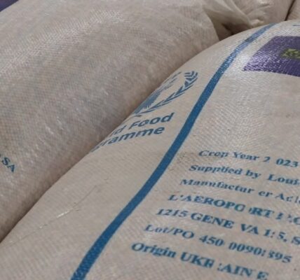 19,000 tons of Ukrainian grain arrives in drought-hit Malawi