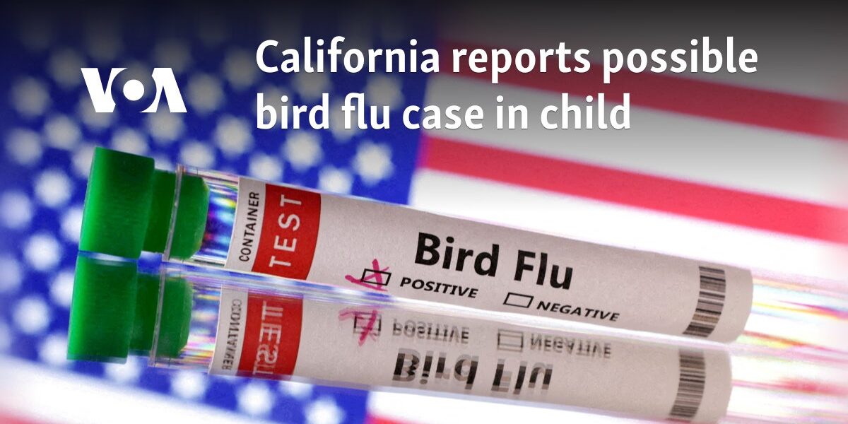 California reports possible bird flu case in child