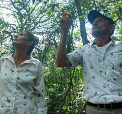 Colombian conflict survivors turn forest heroes in search of climate change solutions