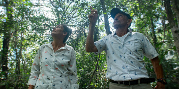 Colombian conflict survivors turn forest heroes in search of climate change solutions