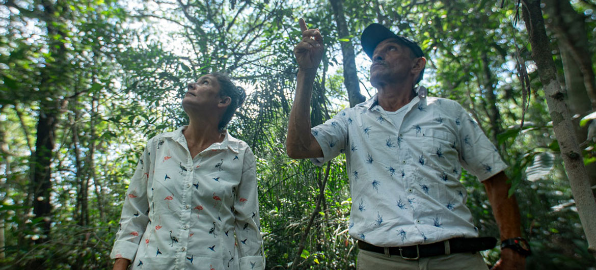 Colombian conflict survivors turn forest heroes in search of climate change solutions