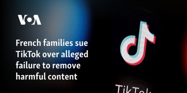 French families sue TikTok over alleged failure to remove harmful content