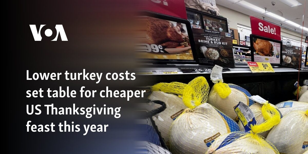 Lower turkey costs set table for cheaper US Thanksgiving feast this year