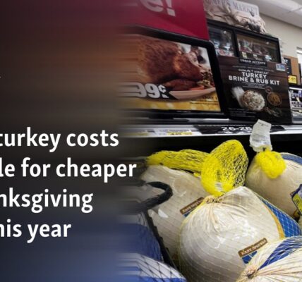 Lower turkey costs set table for cheaper US Thanksgiving feast this year