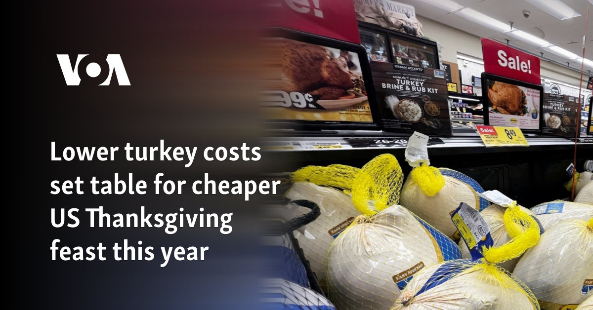 Lower turkey costs set table for cheaper US Thanksgiving feast this year