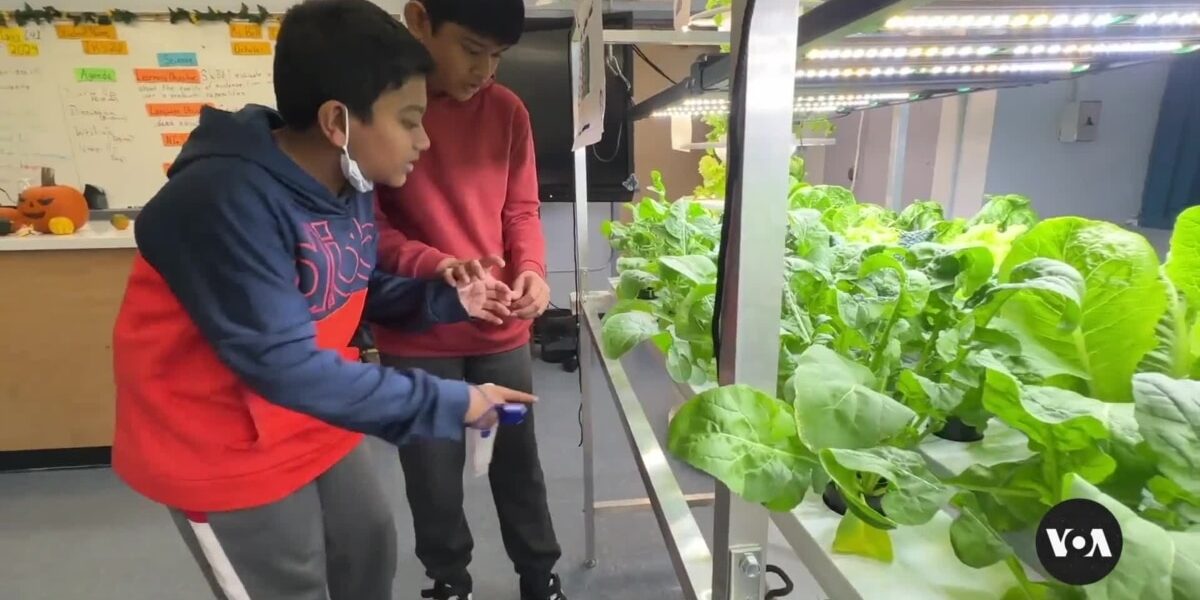 New York City children learn gardening to build healthier habits