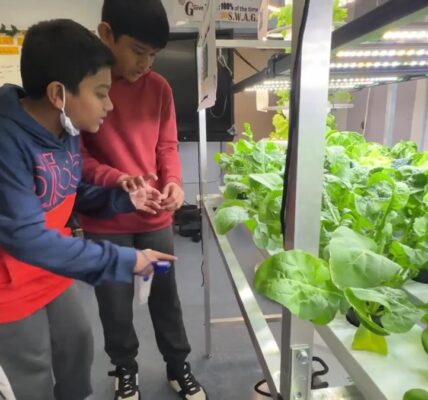 New York City children learn gardening to build healthier habits