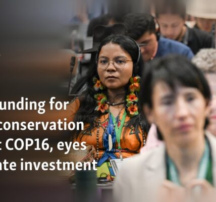 Public funding for nature conservation stalls at COP16, eyes on private investment