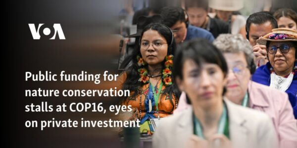 Public funding for nature conservation stalls at COP16, eyes on private investment