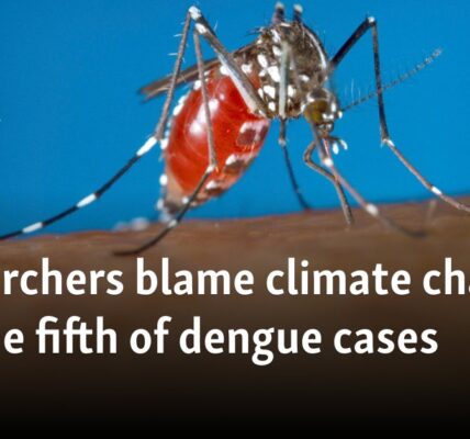 Researchers blame climate change for one fifth of dengue cases