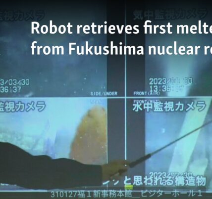 Robot retrieves first melted fuel from Fukushima nuclear reactor