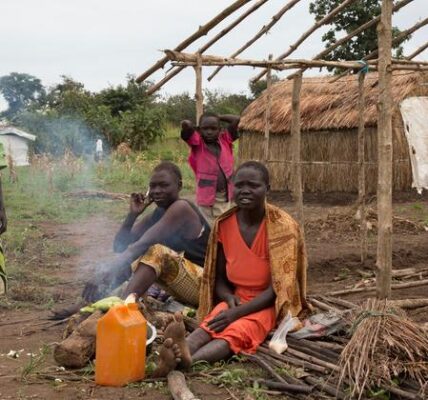 South Sudan: Postponing long-awaited elections ‘a regrettable development’