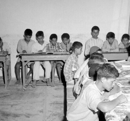 Stories from the UN Archive: What UNRWA built