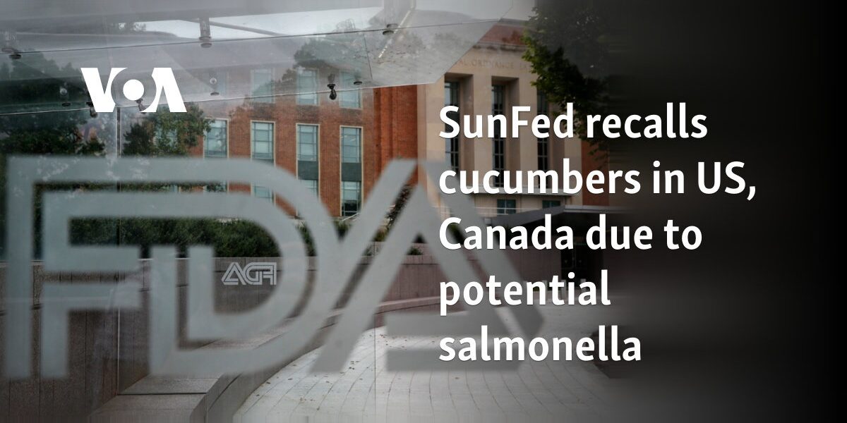 SunFed recalls cucumbers in US, Canada due to potential salmonella