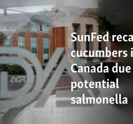 SunFed recalls cucumbers in US, Canada due to potential salmonella