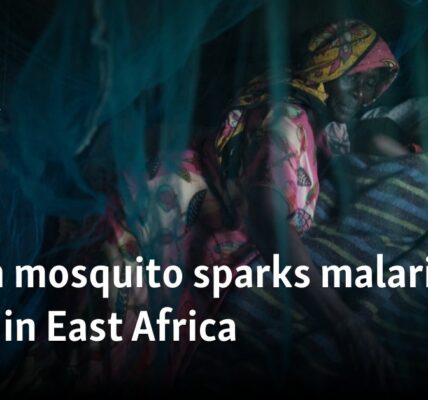 Urban mosquito sparks malaria surge in East Africa