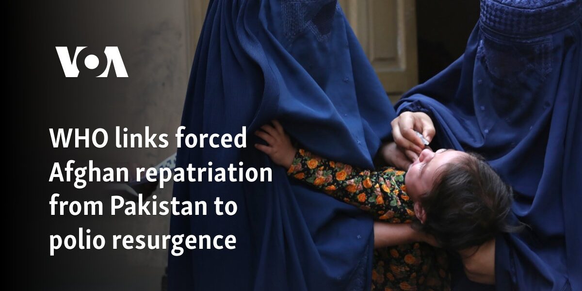 WHO links forced Afghan repatriation from Pakistan to polio resurgence