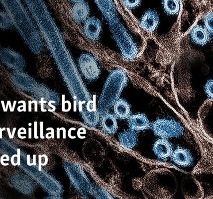 WHO wants bird flu surveillance stepped up