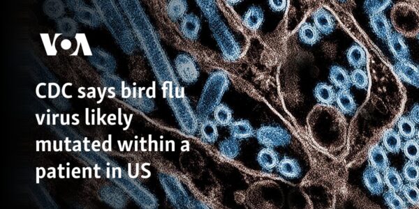 CDC says bird flu virus likely mutated within a US patient