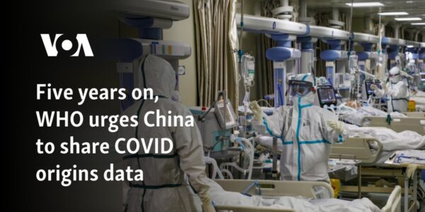 Five years on, WHO urges China to share COVID origins data