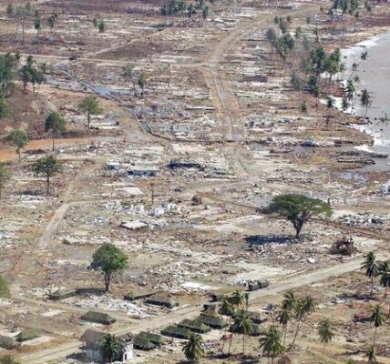 Indian Ocean tsunami anniversary: A call to safeguard future generations