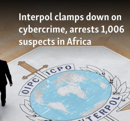 Interpol clamps down on cybercrime, arrests 1,006 suspects in Africa