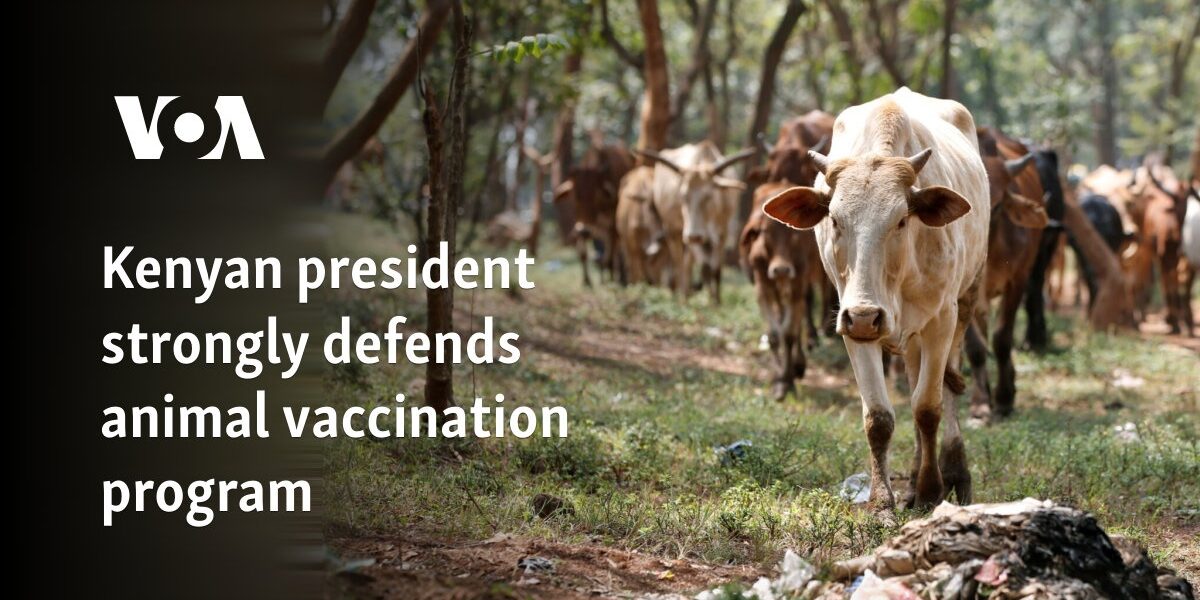 Kenyan president strongly defends animal vaccination program