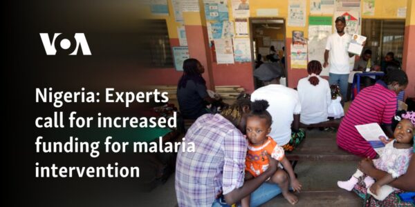 Nigeria: Experts call for increased funding for malaria intervention