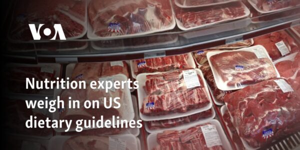 Nutrition experts weigh in on US dietary guidelines