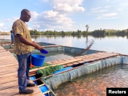 Sub-Saharan officials say reducing fish imports creates local jobs