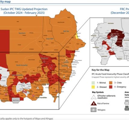 Sudan’s worsening famine: Conflict puts millions at risk