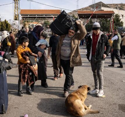 Syria crisis: ‘Key priority’ is preserving evidence of crimes, say UN investigators