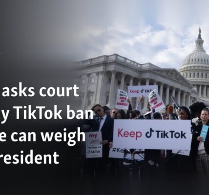 Trump asks court to delay possible TikTok ban until he can weigh in as president