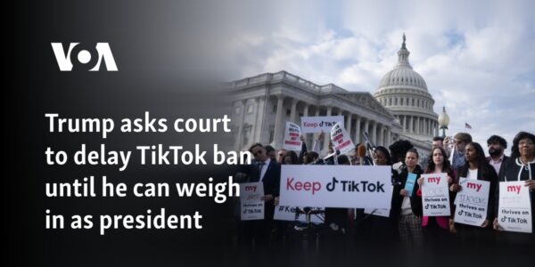 Trump asks court to delay possible TikTok ban until he can weigh in as president