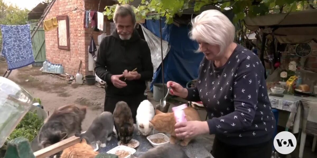 Ukrainian couple takes care of abandoned animals despite shelling