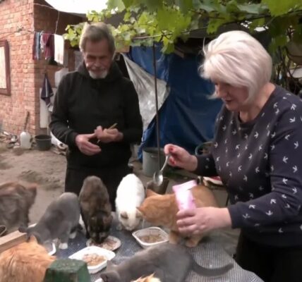 Ukrainian couple takes care of abandoned animals despite shelling