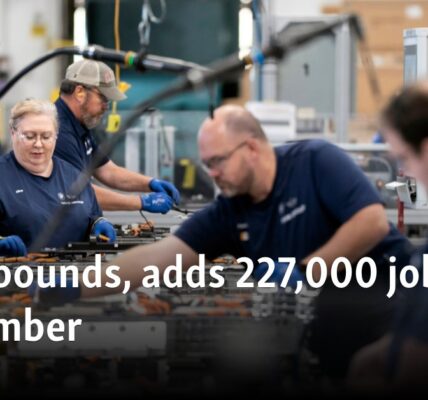 US rebounds, adds 227,000 jobs in November