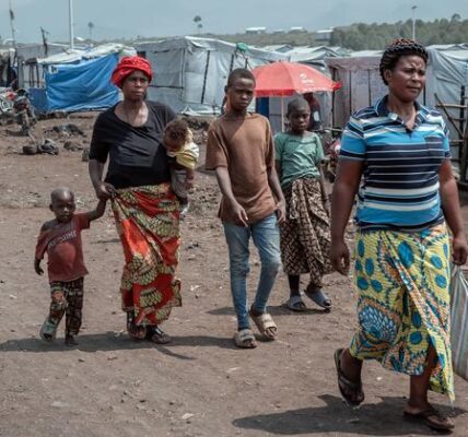 DR Congo: Battle for Goma continues as ‘volatile’ crisis unfolds