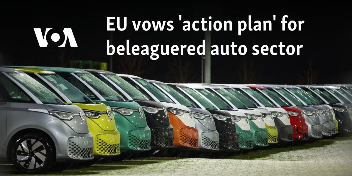 EU vows 'action plan' for beleaguered auto sector